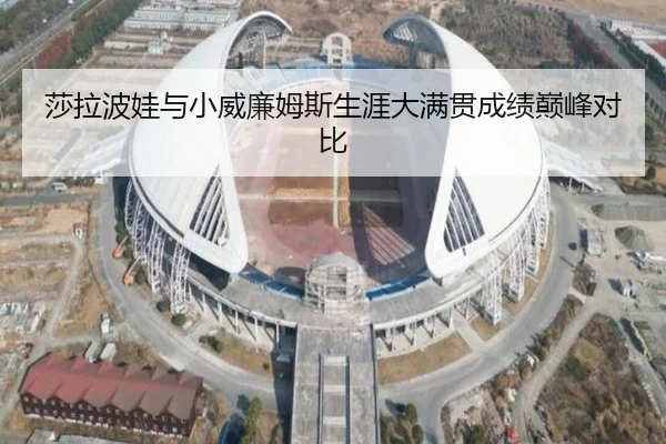 莎拉波娃与小威廉姆斯生涯大满贯成绩巅峰对比